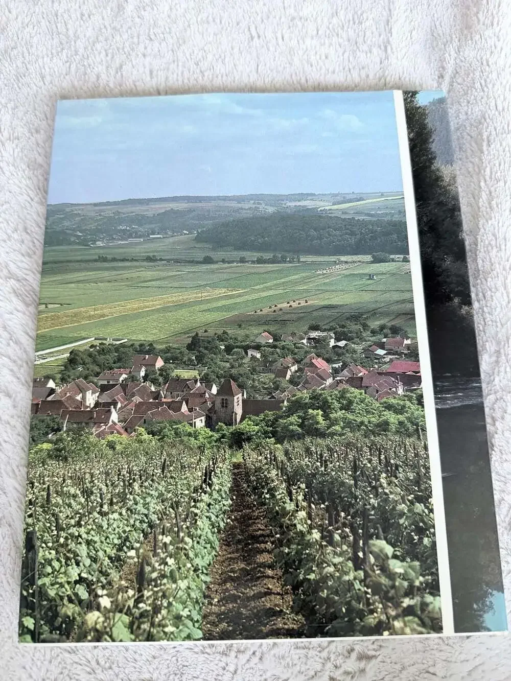 France, Text by Pierre Leprohon, 1981